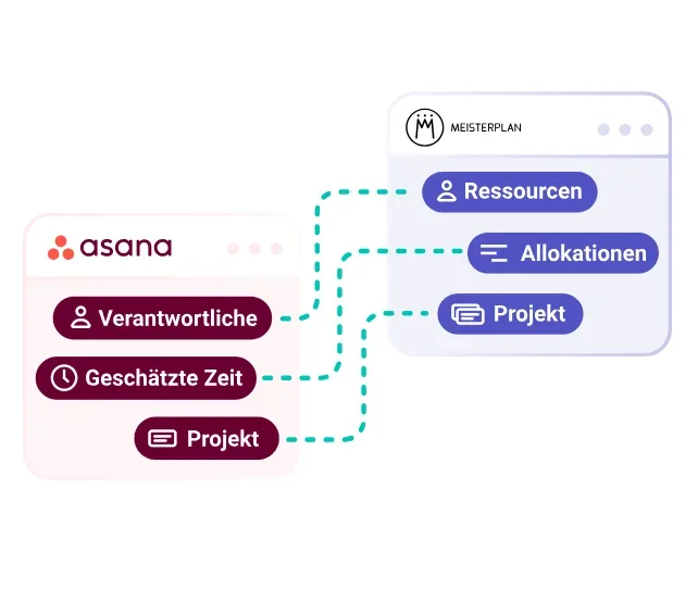 Operational Work in Asana. Portfolio and Capacities in Meisterplan.