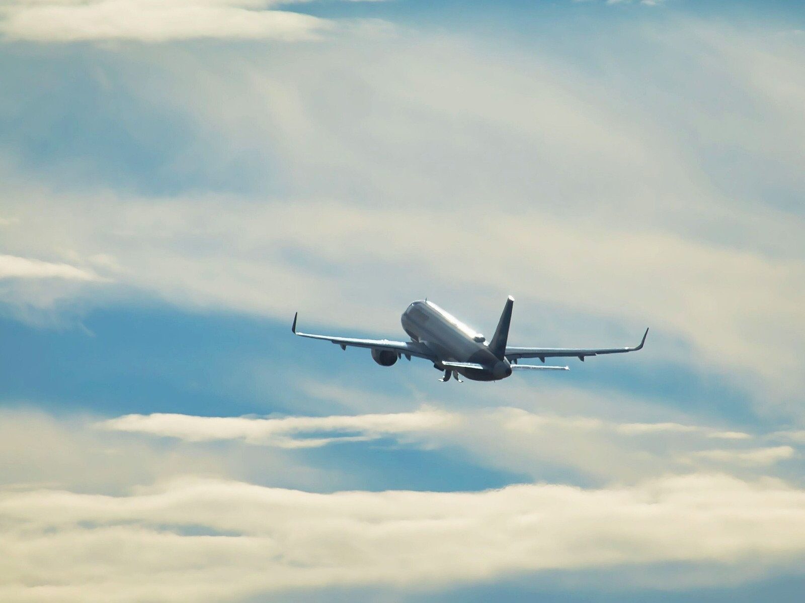 PMO: Aufbau und Neuausrichtung für eine wirksame Projekt- und Ressourcensteuerung